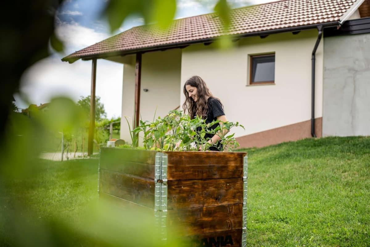 Holiday House Zlacka Gorca Pristava pri Mestinju Exteriér fotografie